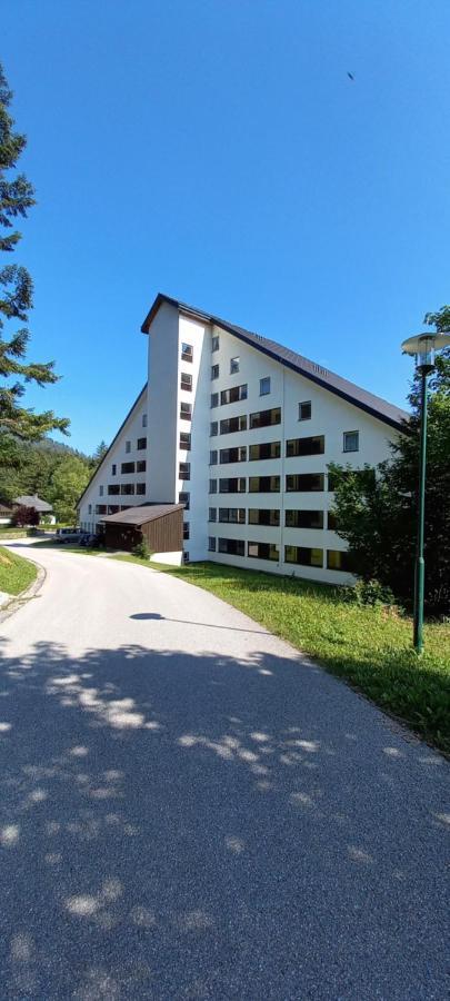Apartment Kleine Auszeit Bad Mitterndorf Ngoại thất bức ảnh